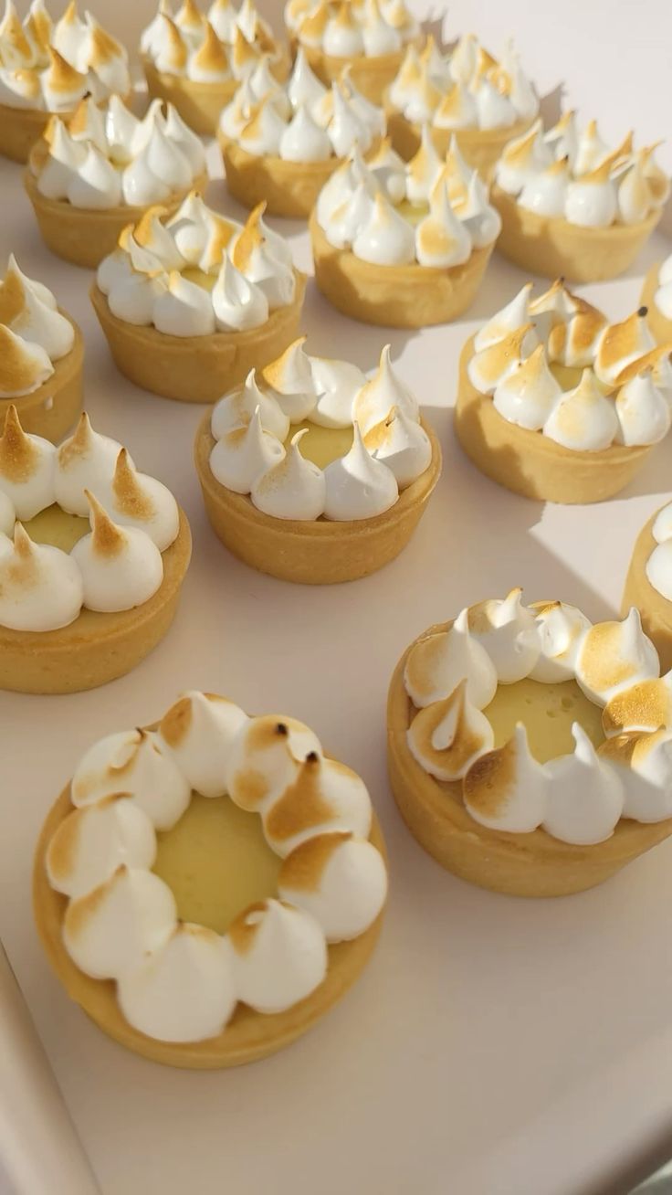 WhatsApp Image 2026-03-03 at 21.58.33 (2)