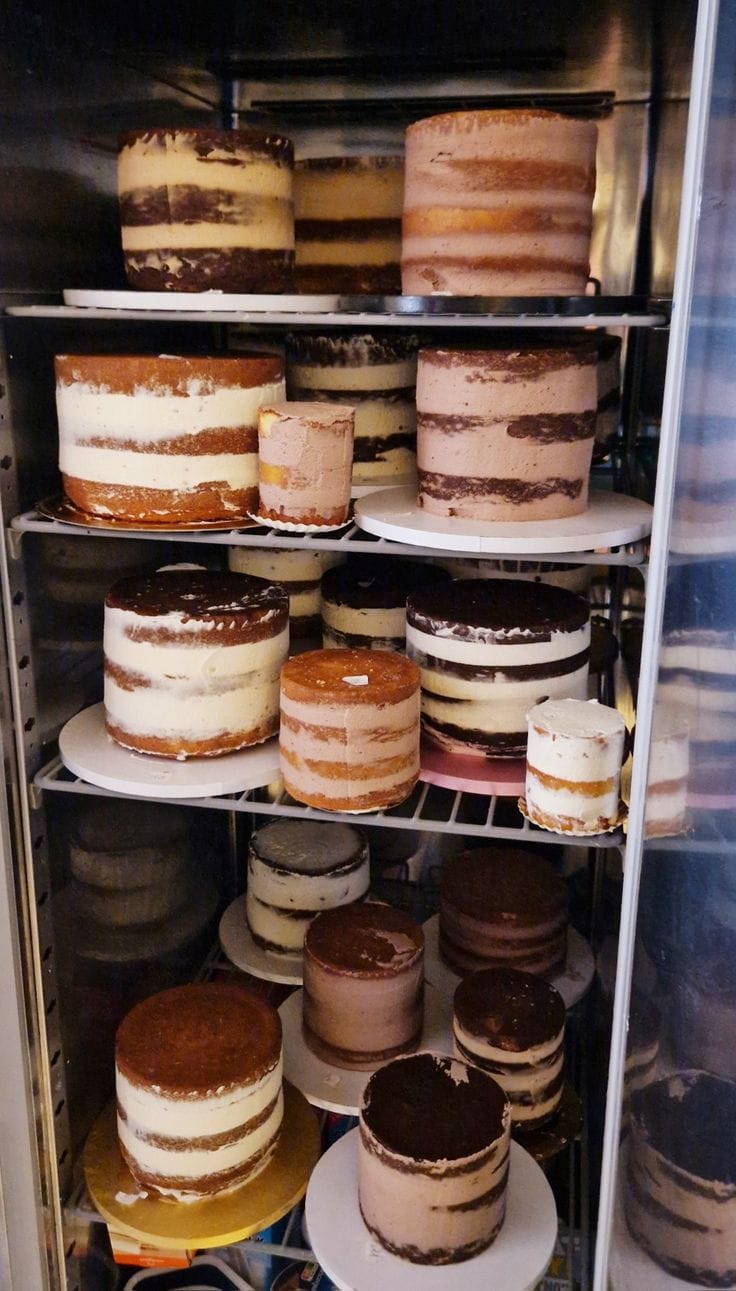 WhatsApp Image 2026-03-03 at 21.58.34 (3)